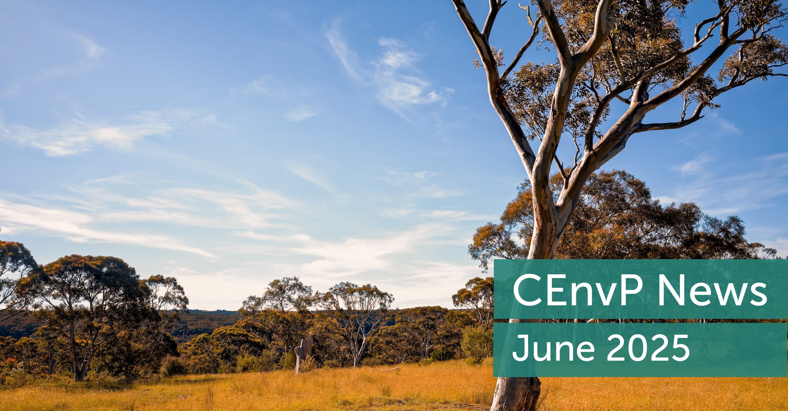 Banner June